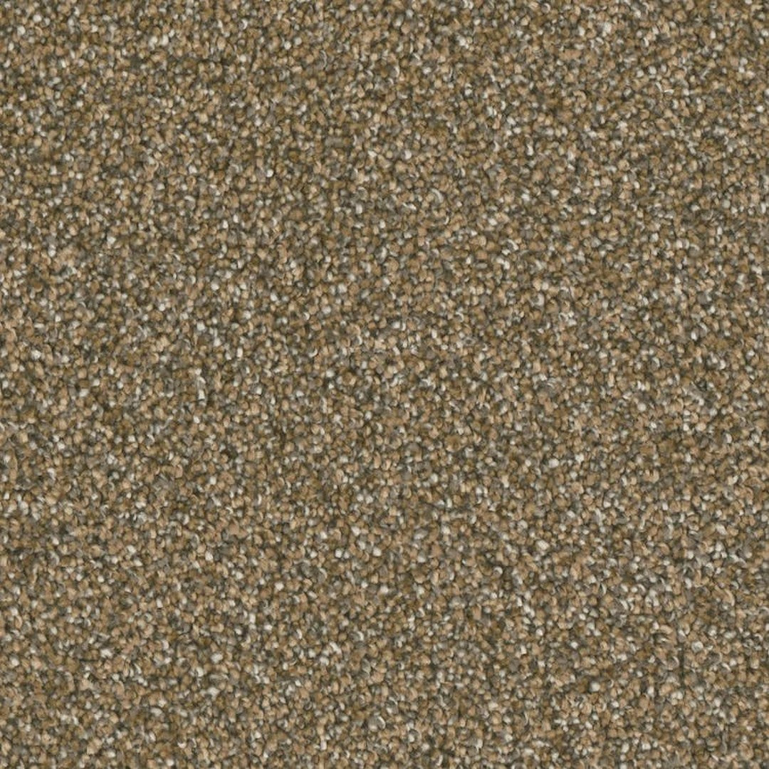 Phenix Microban Five Star 12' Polyester Carpet Tile