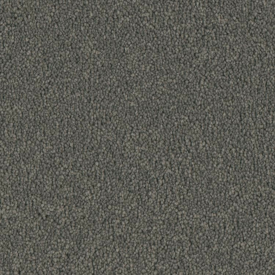 Phenix Microban Five Star 12' Polyester Carpet Tile