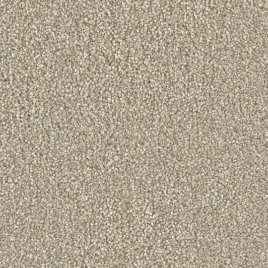 Phenix Microban Five Star 12' Polyester Carpet Tile