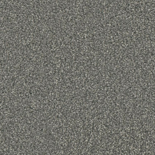 Phenix Microban Five Star 12' Polyester Carpet Tile