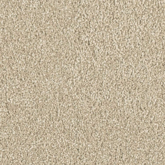 Phenix Microban Top Notch 12' Polyester Carpet Tile