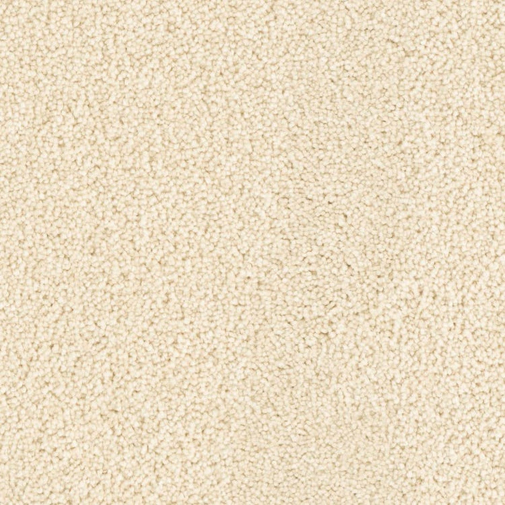 Phenix Microban Top Notch 12' Polyester Carpet Tile