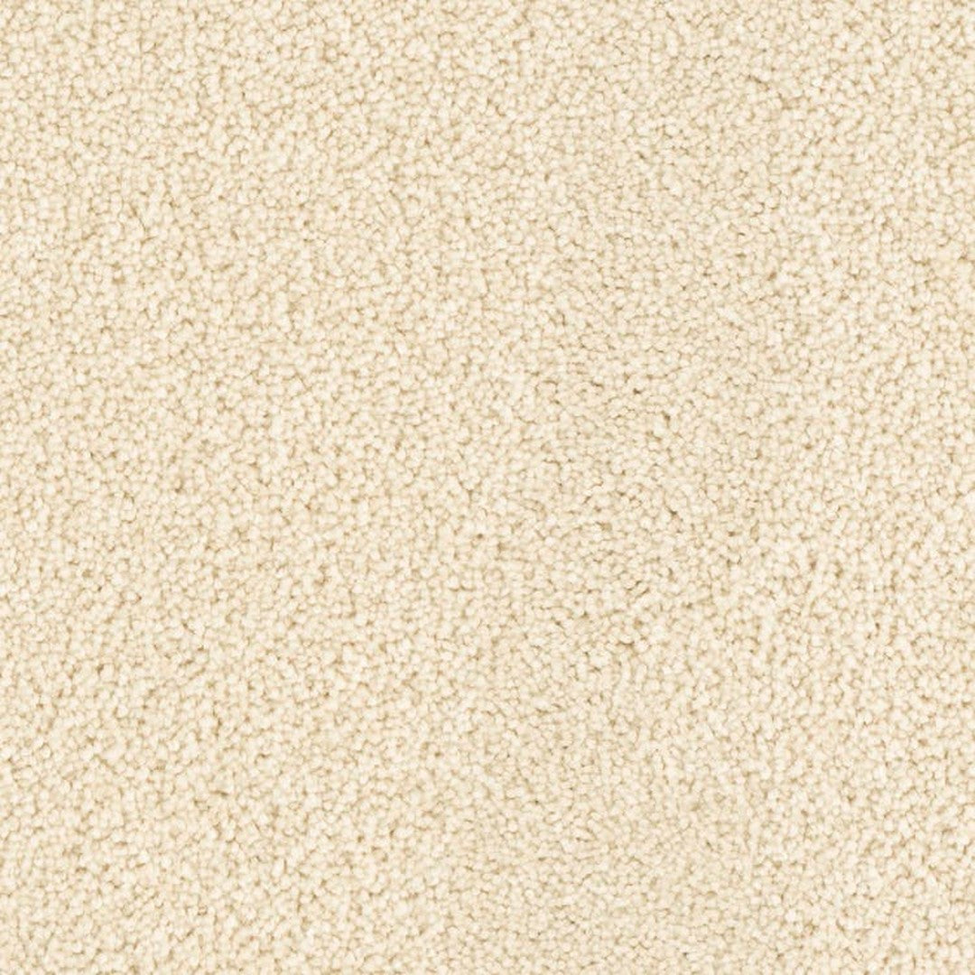 Phenix Microban Top Notch 12' Polyester Carpet Tile