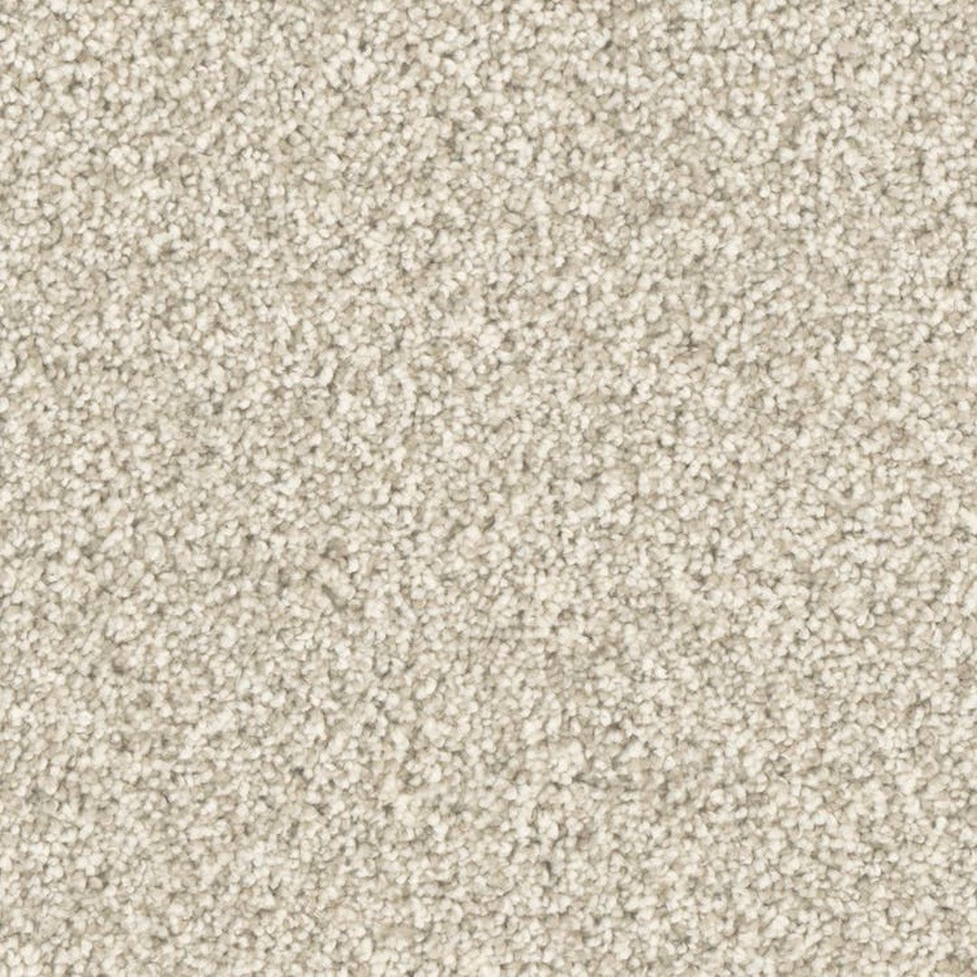 Phenix Microban Top Notch 12' Polyester Carpet Tile