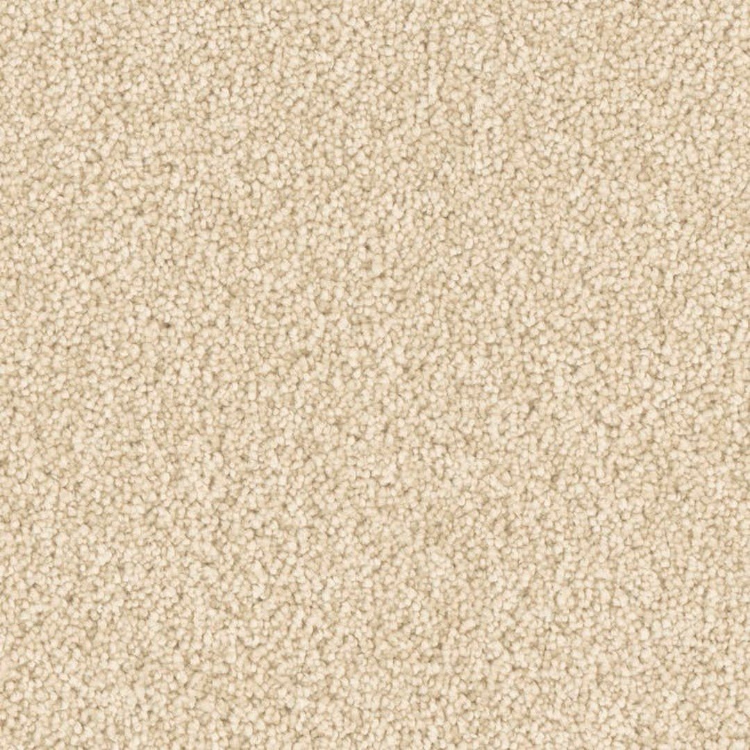 Phenix Microban Top Notch 12' Polyester Carpet Tile