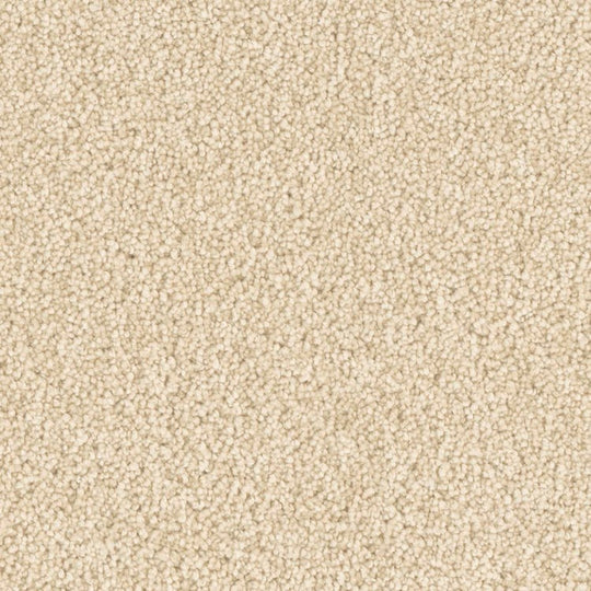 Phenix Microban Top Notch 12' Polyester Carpet Tile