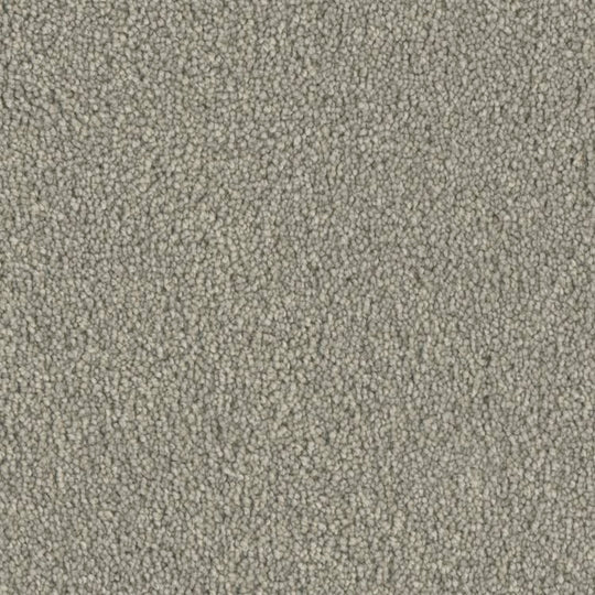 Phenix Microban Top Notch 12' Polyester Carpet Tile