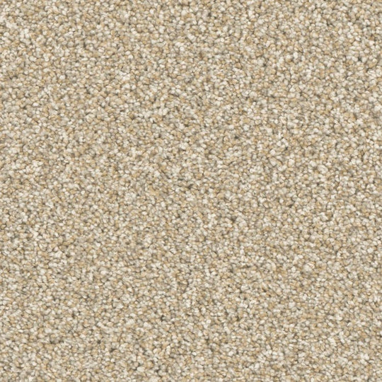 Phenix Microban Top Notch 12' Polyester Carpet Tile