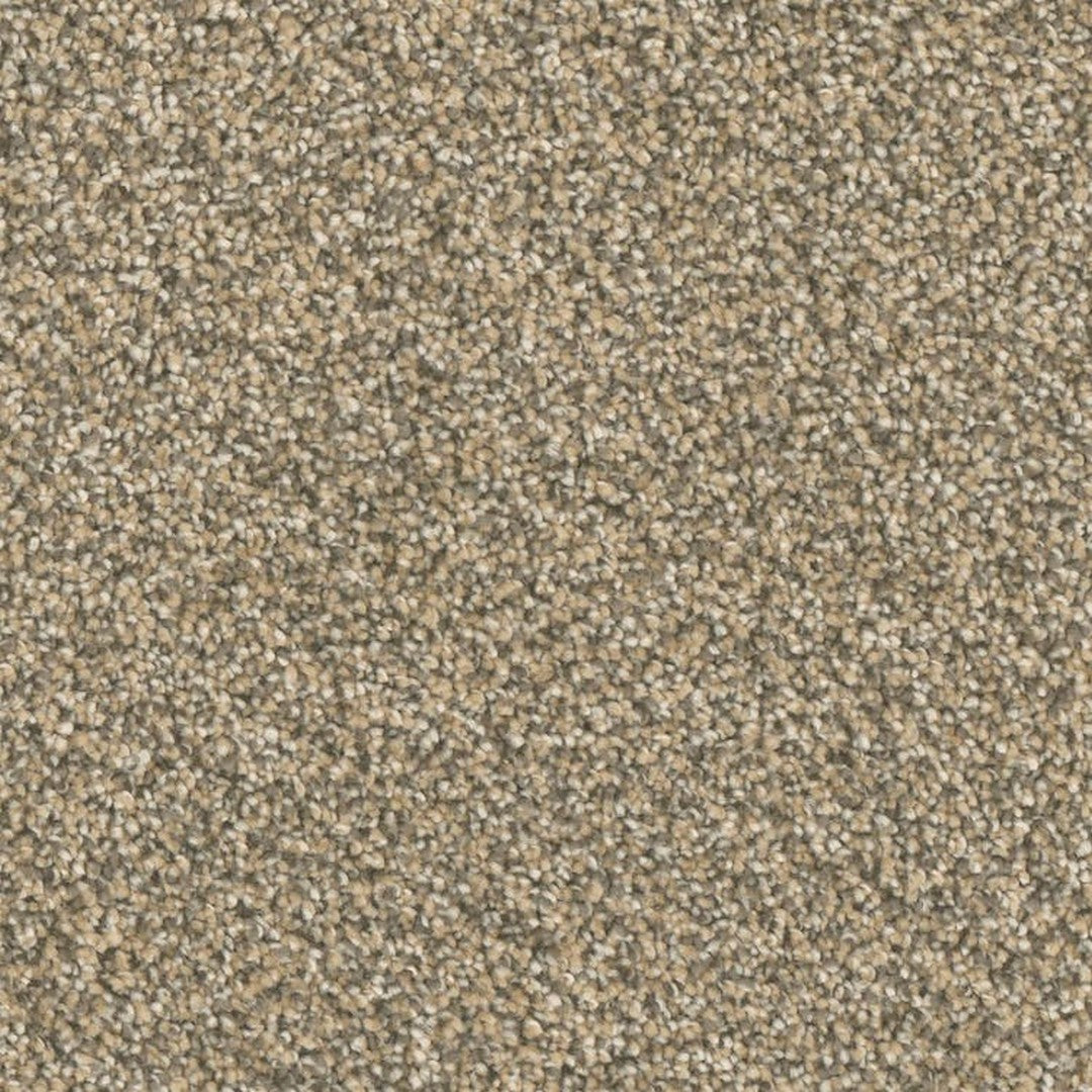 Phenix Microban Top Notch 12' Polyester Carpet Tile