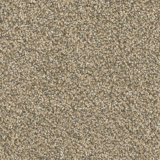 Phenix Microban Top Notch 12' Polyester Carpet Tile