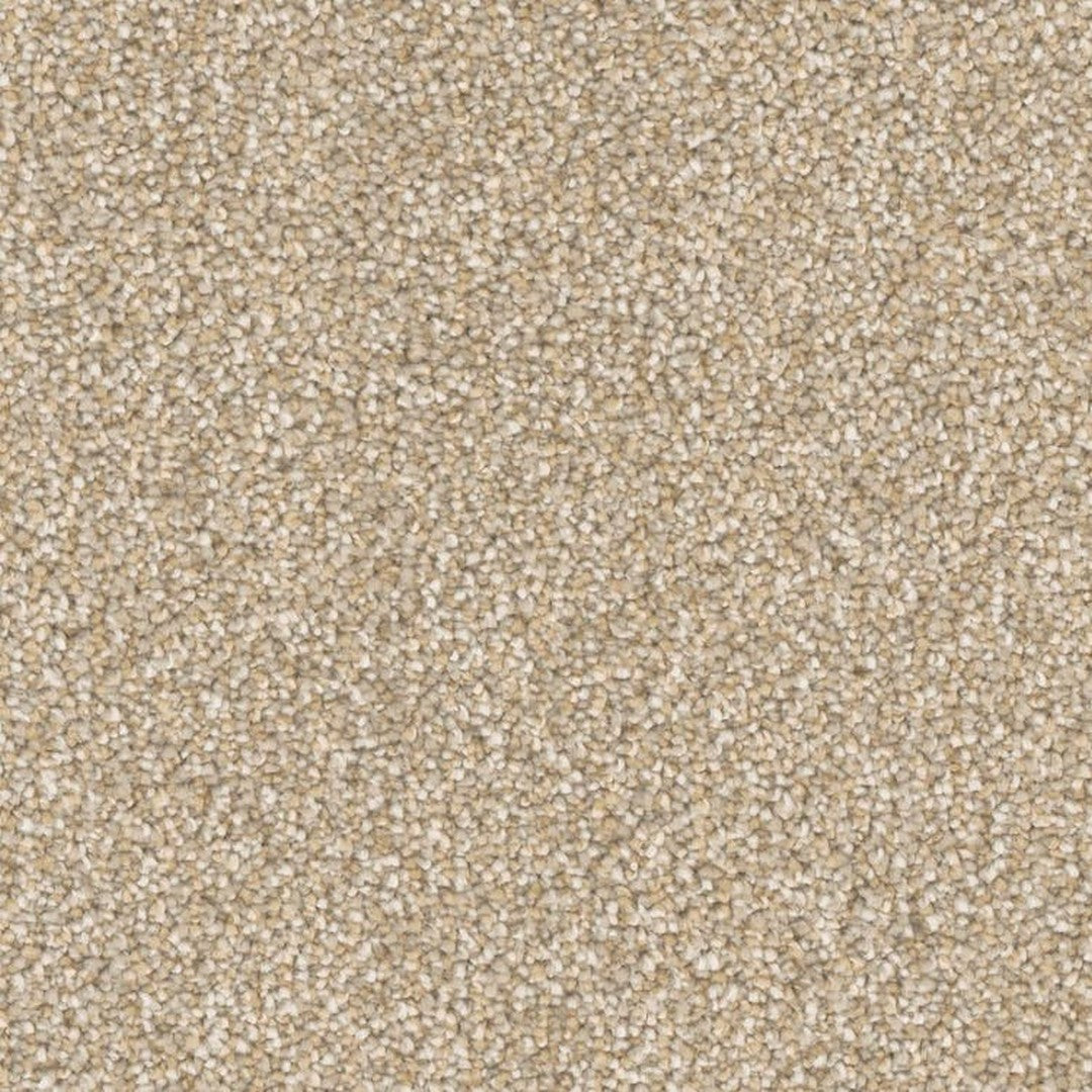 Phenix Microban Top Notch 12' Polyester Carpet Tile