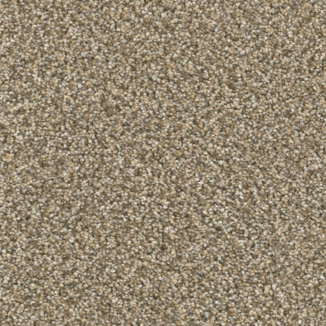 Phenix Microban Top Notch 12' Polyester Carpet Tile