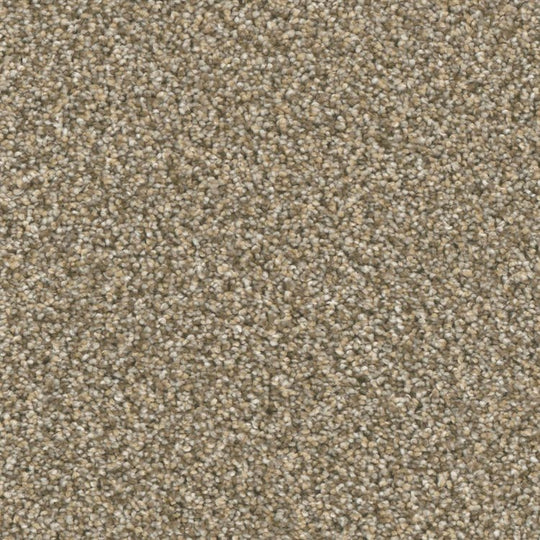 Phenix Microban Top Notch 12' Polyester Carpet Tile