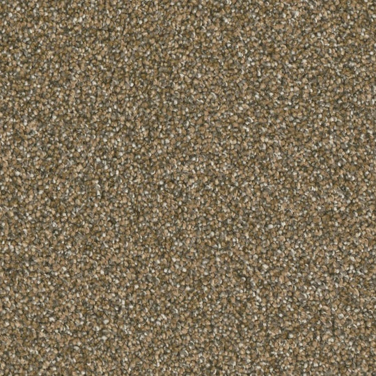 Phenix Microban Top Notch 12' Polyester Carpet Tile