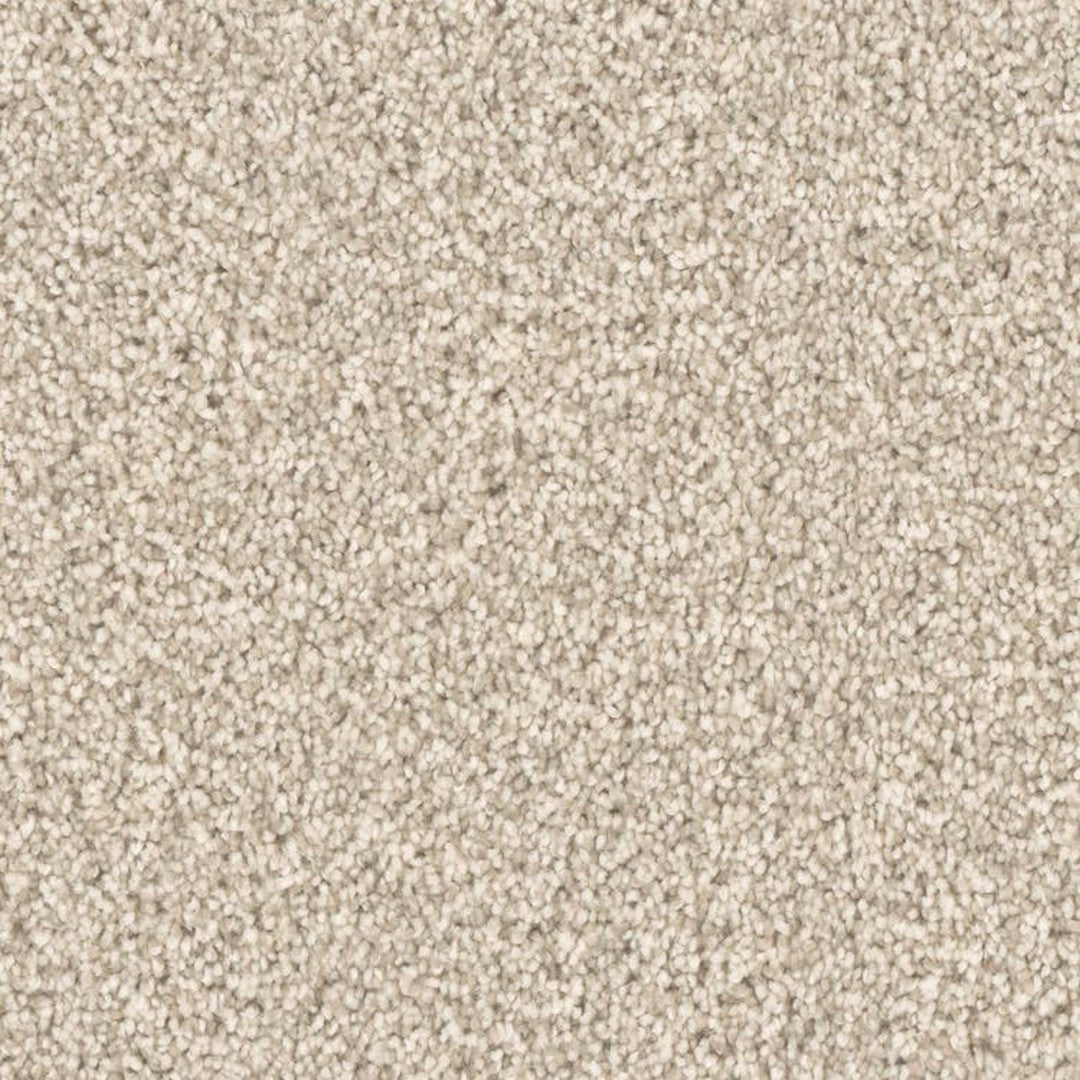 Phenix Microban Top Notch 12' Polyester Carpet Tile