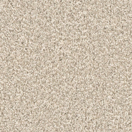 Phenix Microban Top Notch 12' Polyester Carpet Tile