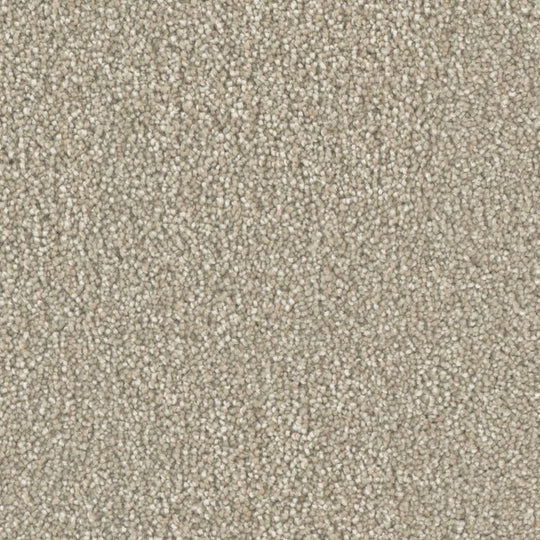 Phenix Microban Top Notch 12' Polyester Carpet Tile