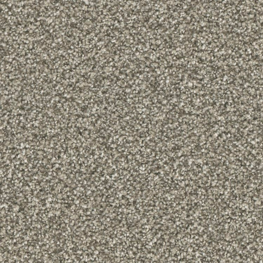 Phenix Microban Top Notch 12' Polyester Carpet Tile