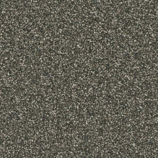 Phenix Microban Top Notch 12' Polyester Carpet Tile