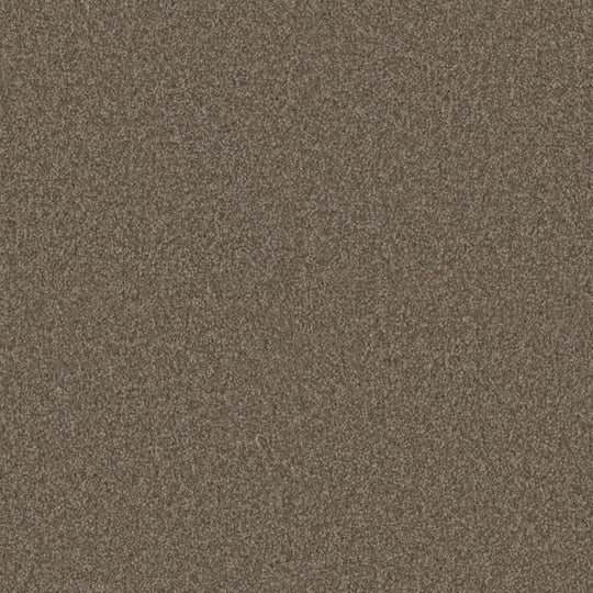 Phenix Microban El Dorado 12' Polyester Carpet Tile