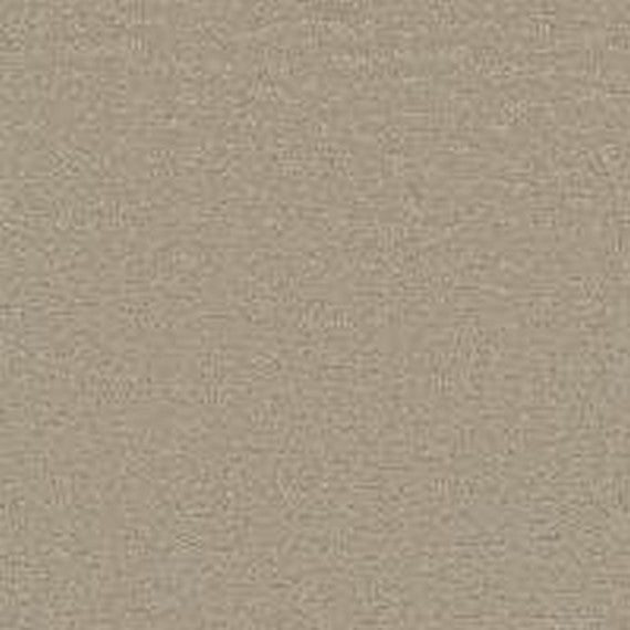 Phenix Microban Glam 12' Polyester Carpet Tile