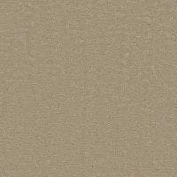 Phenix Microban Glam 12' Polyester Carpet Tile