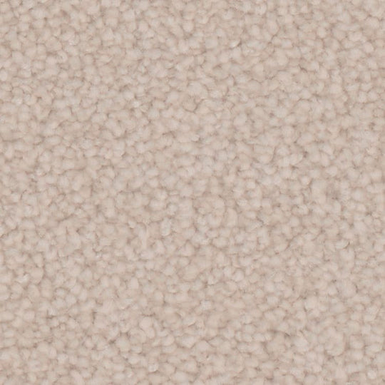 Phenix Microban Canvas I 12' Polyester Carpet Tile
