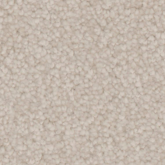 Phenix Microban Canvas I 12' Polyester Carpet Tile