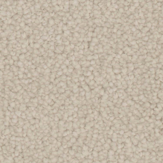 Phenix Microban Canvas II 12' Polyester Carpet Tile