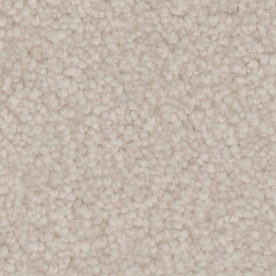 Phenix Microban Canvas II 12' Polyester Carpet Tile