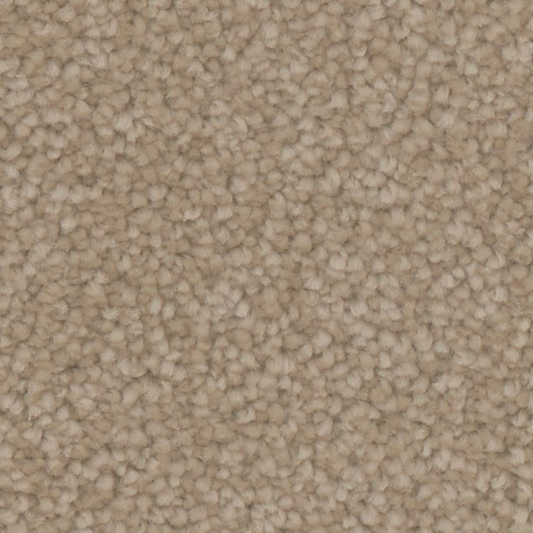 Phenix Microban Canvas II 12' Polyester Carpet Tile