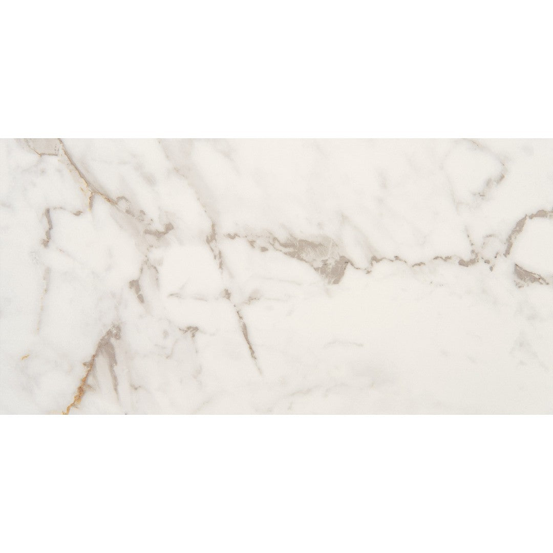 Marazzi Marble Obsession 12" x 24" Polished Rectangle Tile