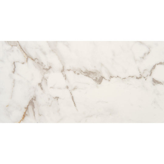 Marazzi Marble Obsession 12" x 24" Matte Rectangle Tile