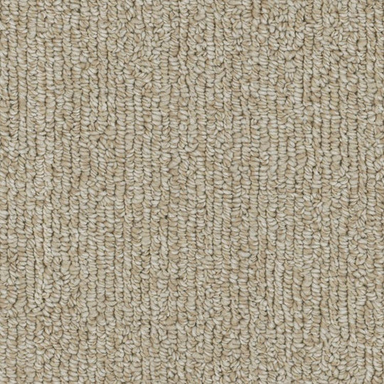 Phenix Microban Warp 12' Polyester Carpet Tile