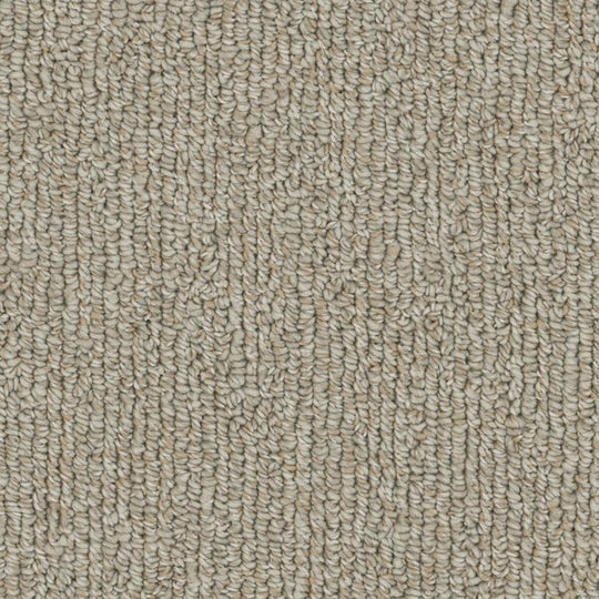 Phenix Microban Warp 12' Polyester Carpet Tile