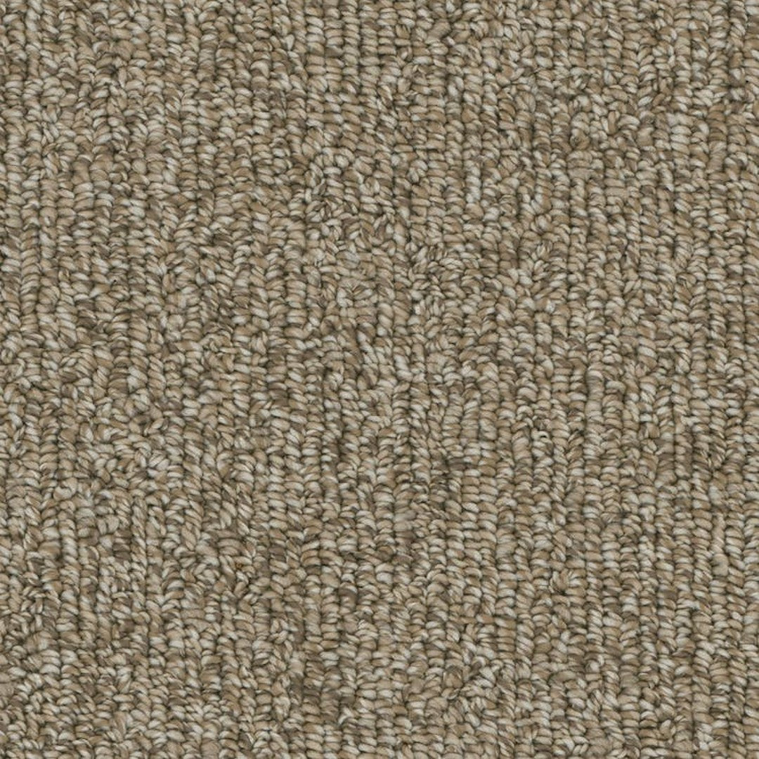 Phenix Microban Warp 12' Polyester Carpet Tile