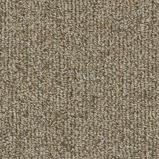 Phenix Microban Warp 12' Polyester Carpet Tile