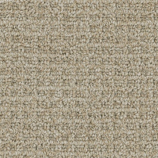 Phenix Microban Weft 12' Polyester Carpet Tile