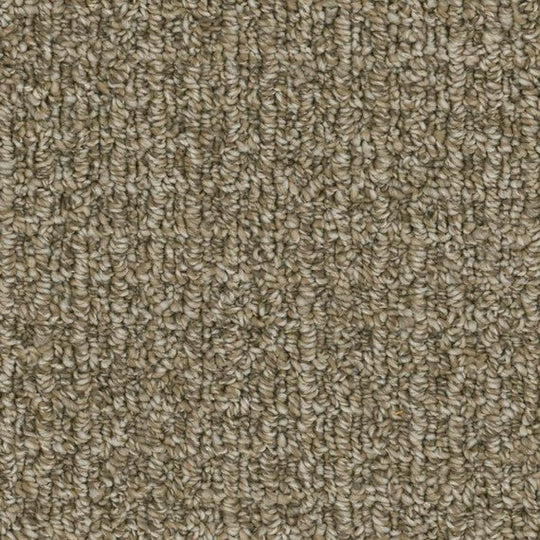 Phenix Microban Weft 12' Polyester Carpet Tile