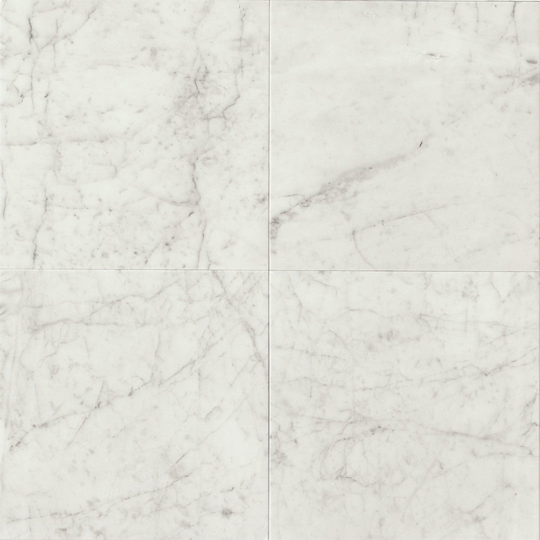 Bedrosians Marble White Carrara 24" x 24" Honed Floor & Wall Tile