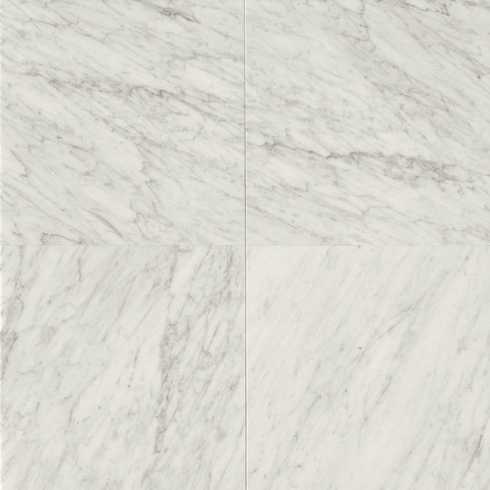 Bedrosians Marble White Carrara 24" x 24" Polished Floor & Wall Tile