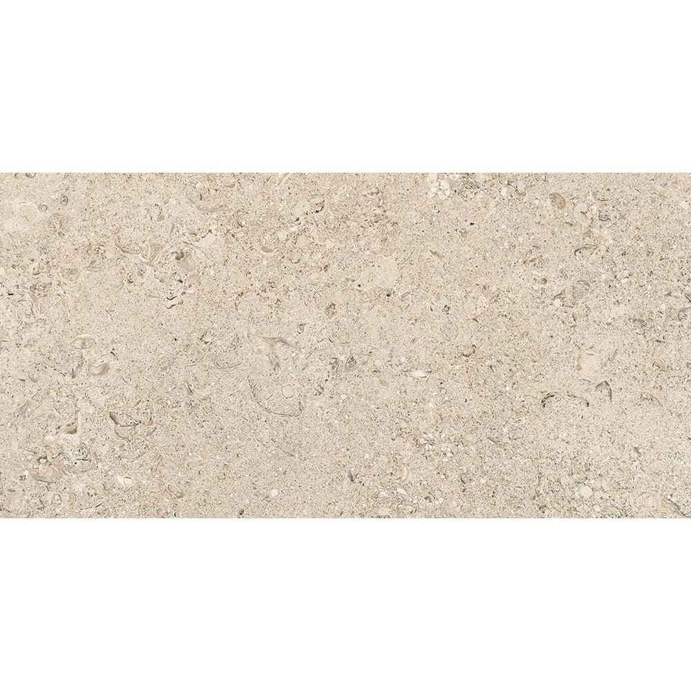 Tesoro 12" x 24" Shellstone Rectified Matte Outdoor Porcelain Tile