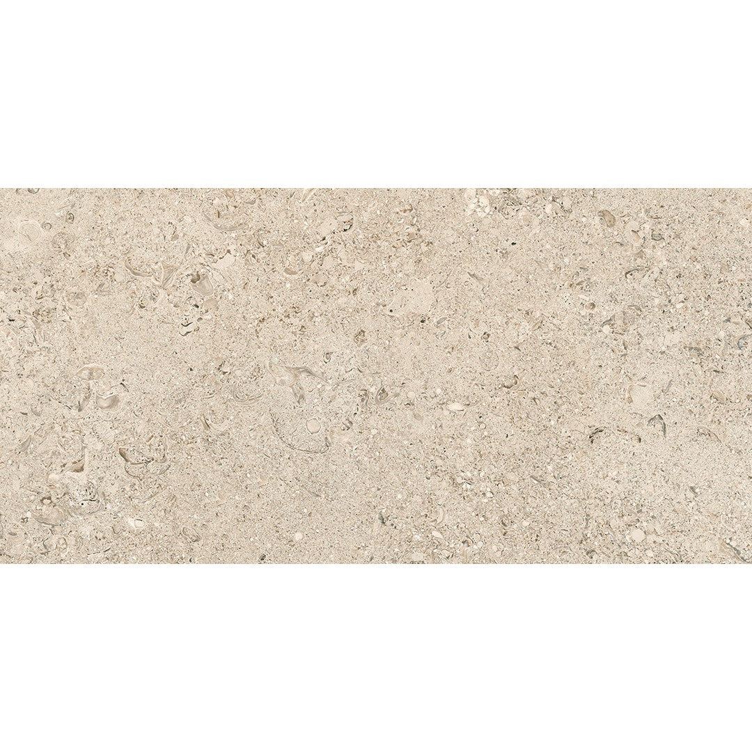 Tesoro 12" x 24" Shellstone Rectified Matte Outdoor Porcelain Tile