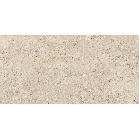 Tesoro 12" x 24" Shellstone Rectified Matte Outdoor Porcelain Tile