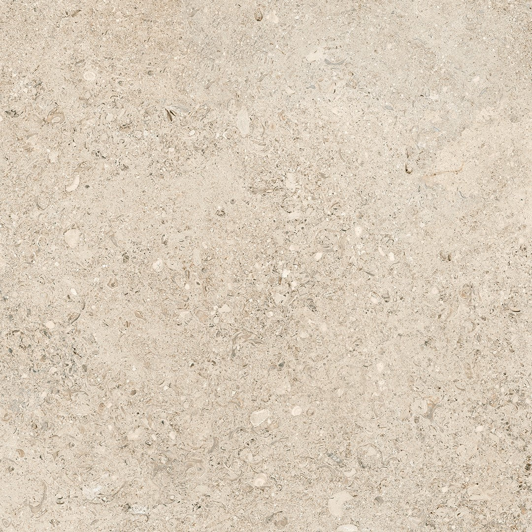 Tesoro 24" x 24" Shellstone Rectified Matte Porcelain Tile