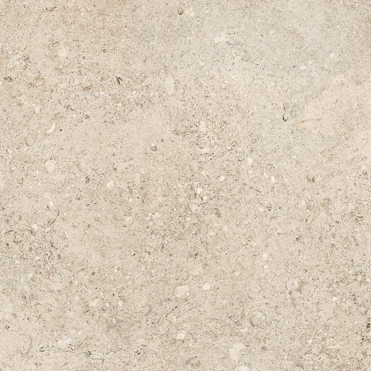 Tesoro 24" x 24" Shellstone Rectified Matte Porcelain Tile