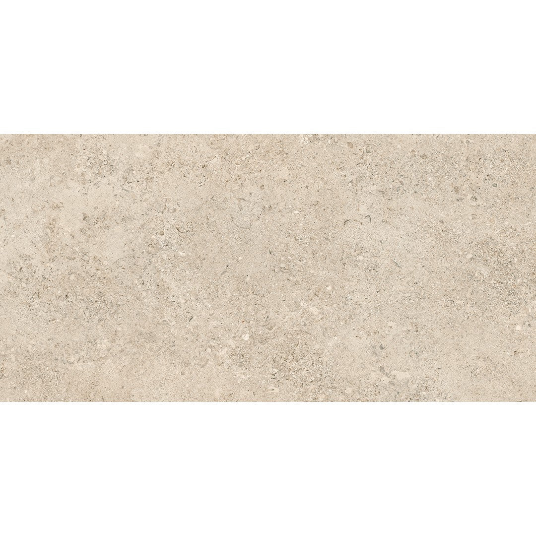 Tesoro 24" x 48" Shellstone Rectified Matte Porcelain Tile