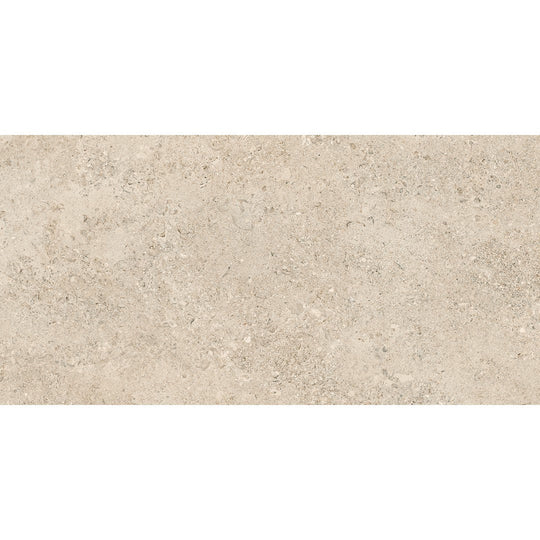 Tesoro 24" x 48" Shellstone Rectified Matte Porcelain Tile