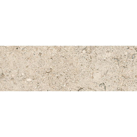 Tesoro 4" x 12" Shellstone Rectified Matte Porcelain Tile