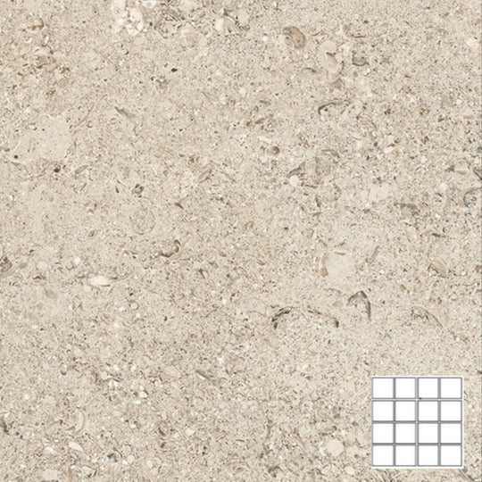 Tesoro 12" x 12" Shellstone Rectified Matte Porcelain 3" Mosaic